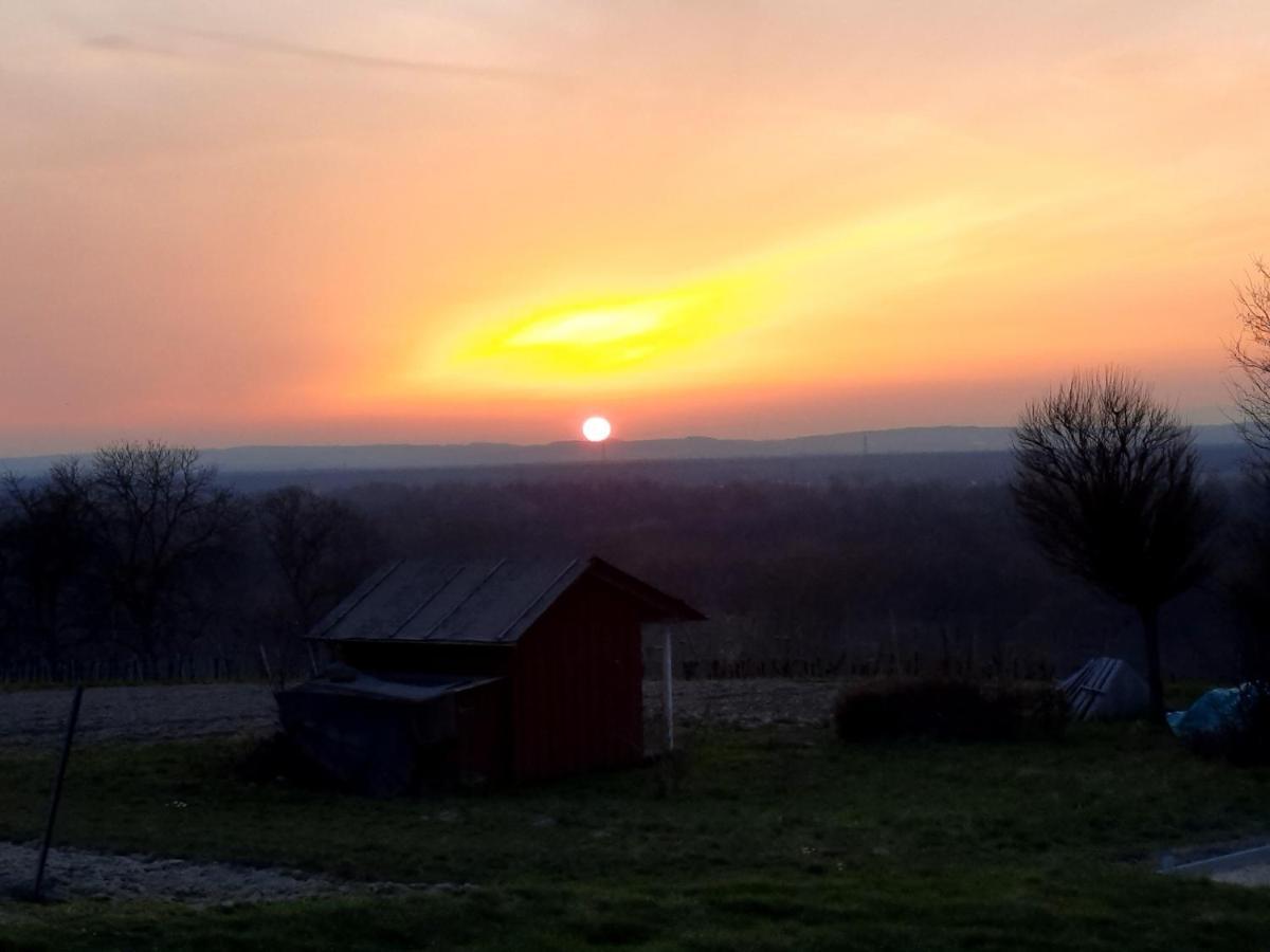Gaestehaus Hoeferlin Bad Bellingen Bagian luar foto