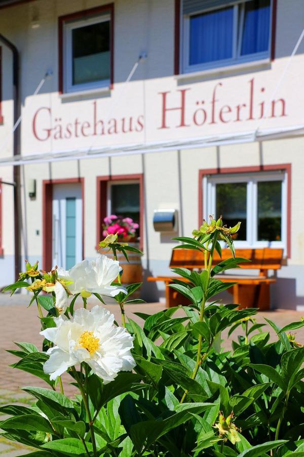 Gaestehaus Hoeferlin Bad Bellingen Bagian luar foto